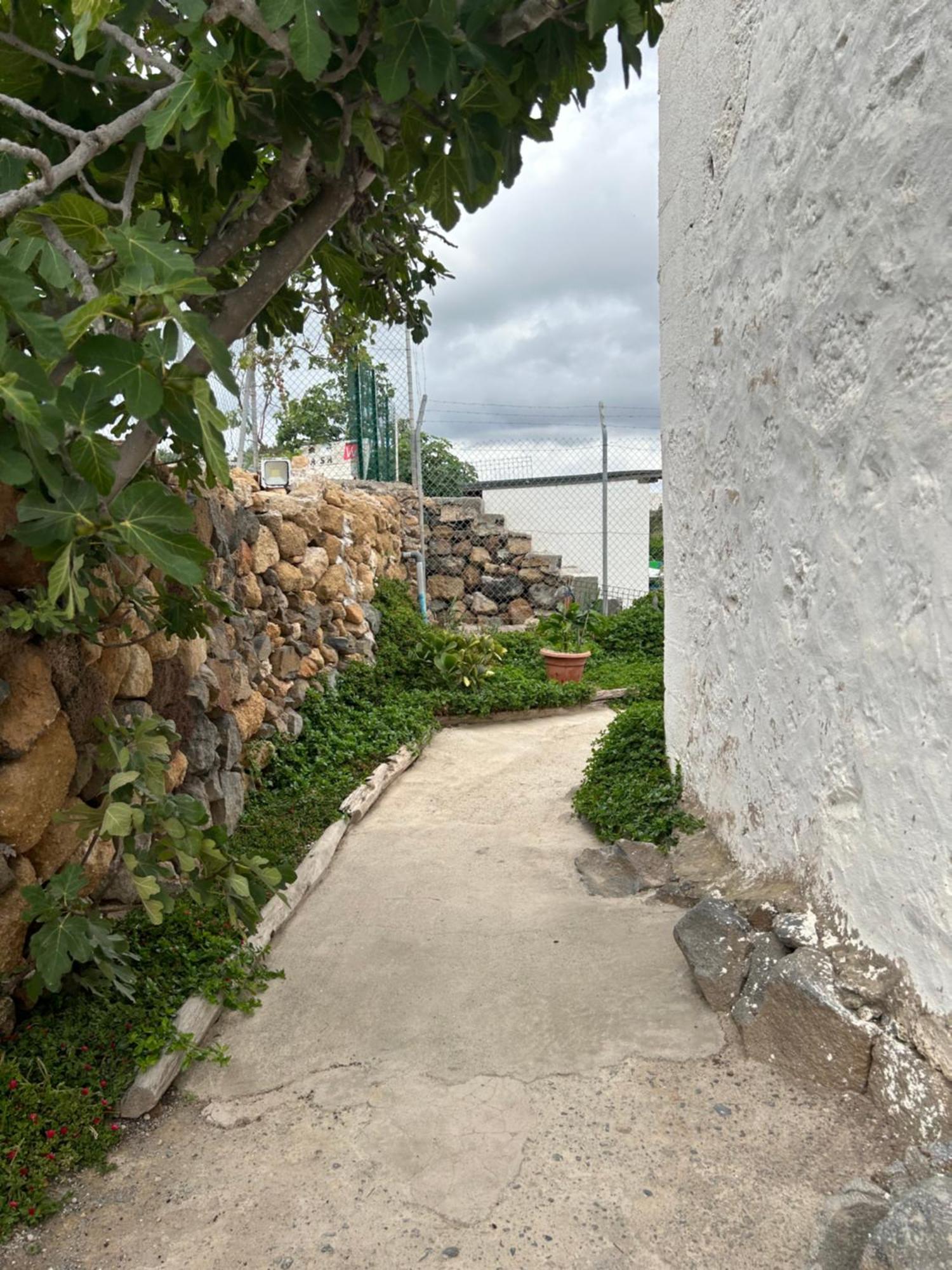 Casa Rural El Pasil 2 阿罗纳 外观 照片