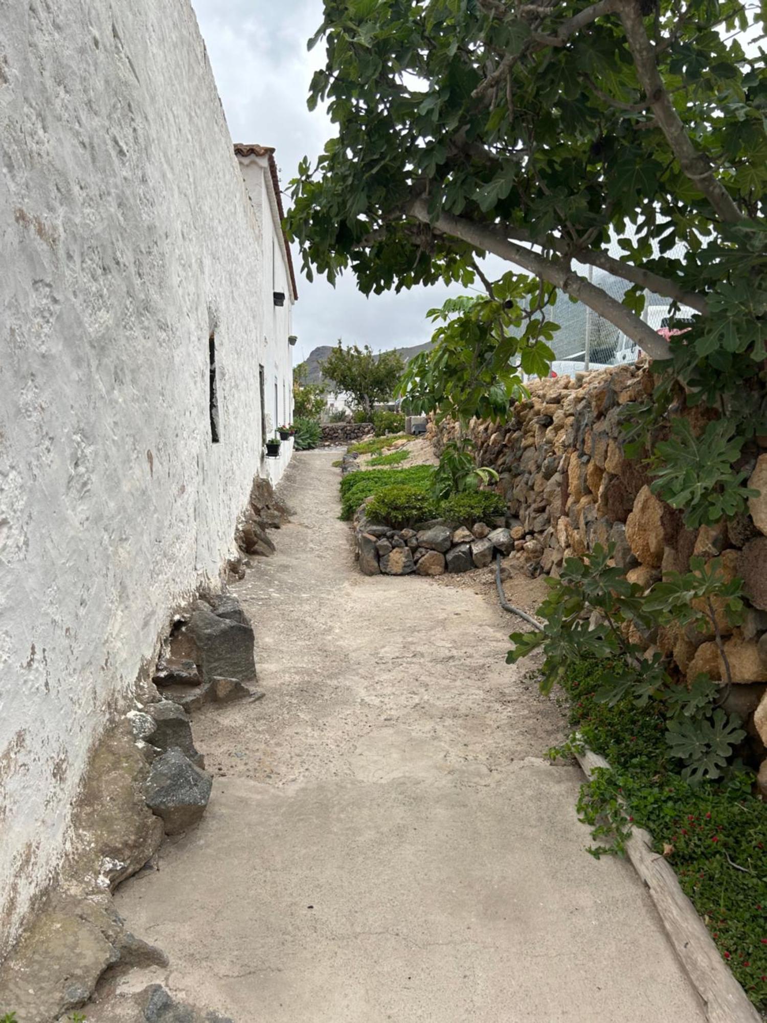 Casa Rural El Pasil 2 阿罗纳 外观 照片